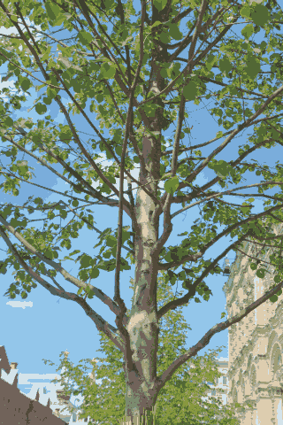 opbygningsbeskæring