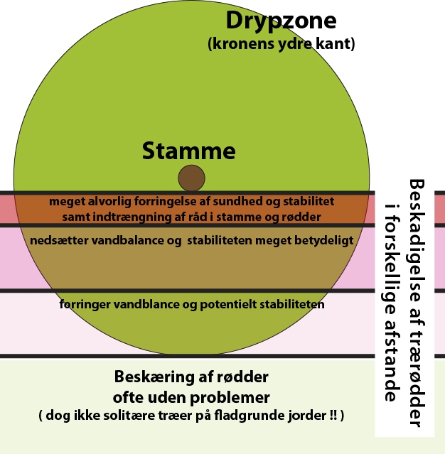 dryplinje rodbeskæring